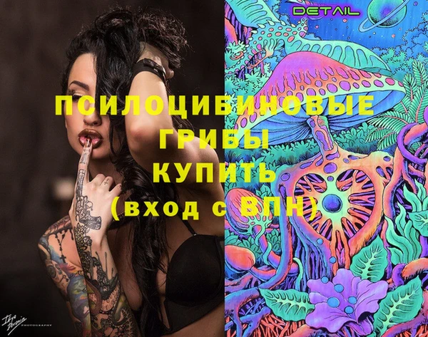 ГАЛЛЮЦИНОГЕННЫЕ ГРИБЫ Балахна