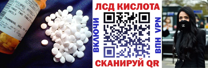 где купить наркотик  Подпорожье  LSD-25 экстази кислота 